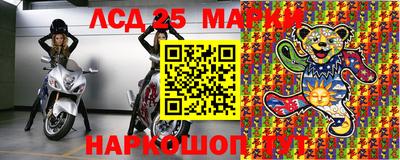 гидра Новоалександровск