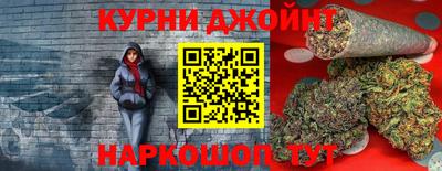 гидра Новоалександровск