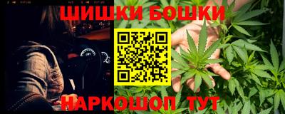 гидра Новоалександровск