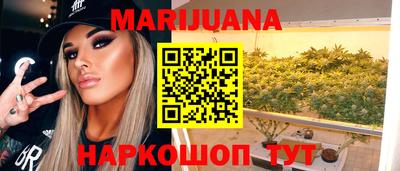 гидра Новоалександровск