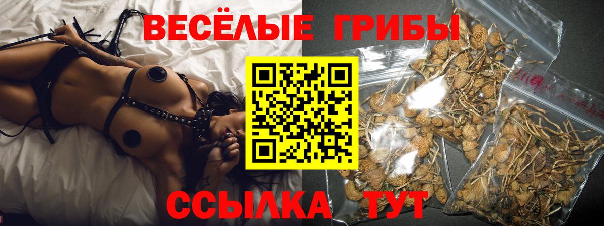 Галлюциногенные грибы MAGIC MUSHROOMS  Галлюциногенные грибы Cubensis  Братск  Вход с VPN 