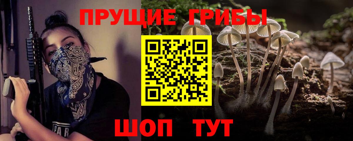 Псилоцибиновые грибы Magic Shrooms Братск