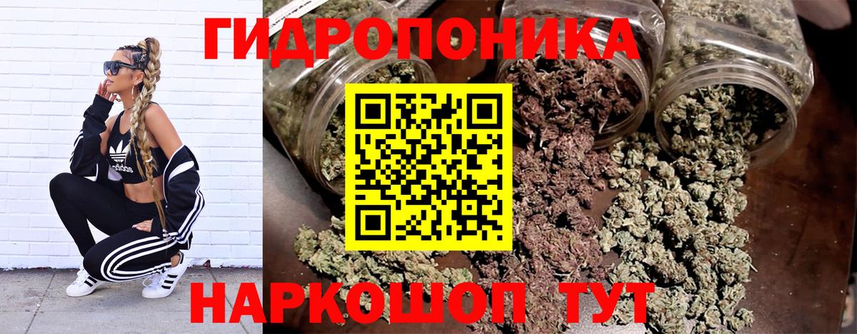 Каннабис план  Вход с VPN  МАРИХУАНА MAZAR  Братск  Шишки марихуана White Widow  МАРИХУАНА ГИДРОПОН 